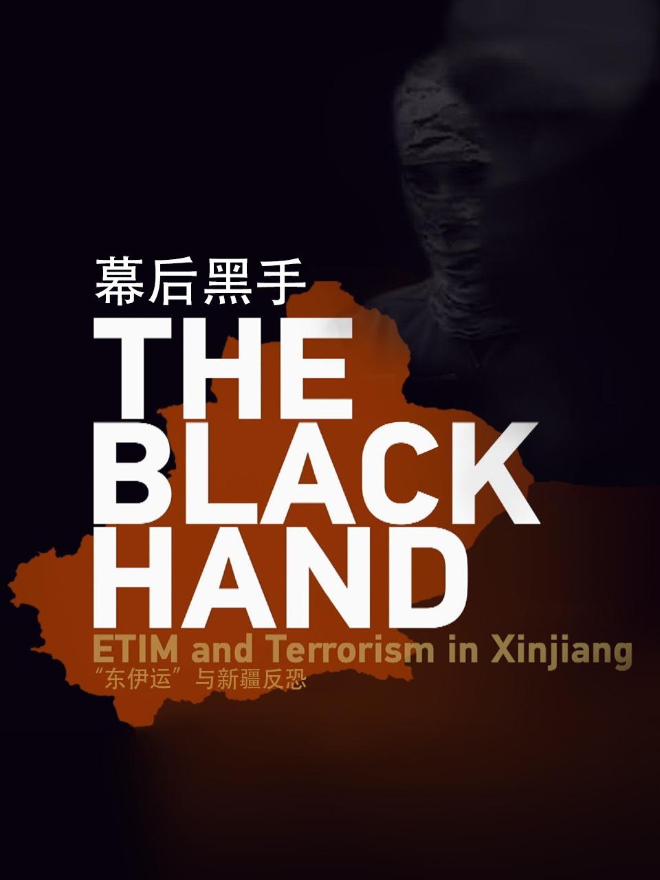 幕后黑手东伊运与新疆反恐